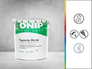 faconip-mono-300×225 Peintures Yako peinture